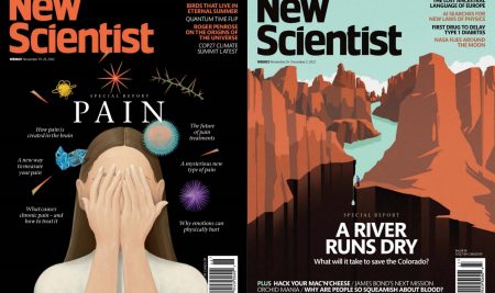 دانلود رایگان مجله New Scientist ، شماره های نوامبر 2022